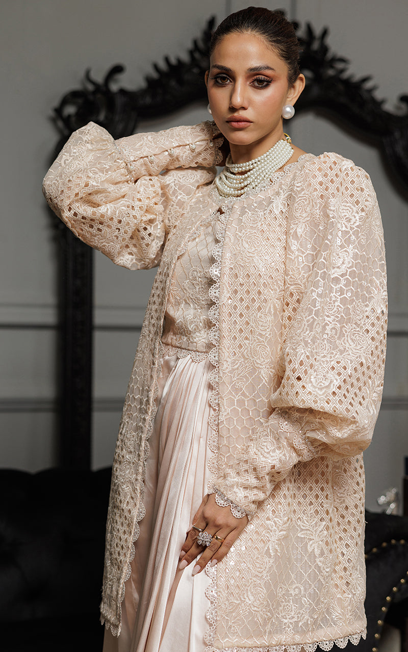 Threads and Motifs | Formal Dresses 25 | Organza Embroidered Jacket With Embroidered Tube And Skirt -  Threads and Motifs Ladies Clothes - Original Designer Dress - House of Maryam
