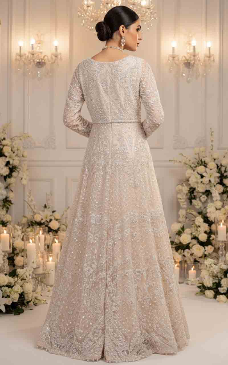 Threads and Motifs | Formal Dresses 25 | Net Embroidered Maxi-2