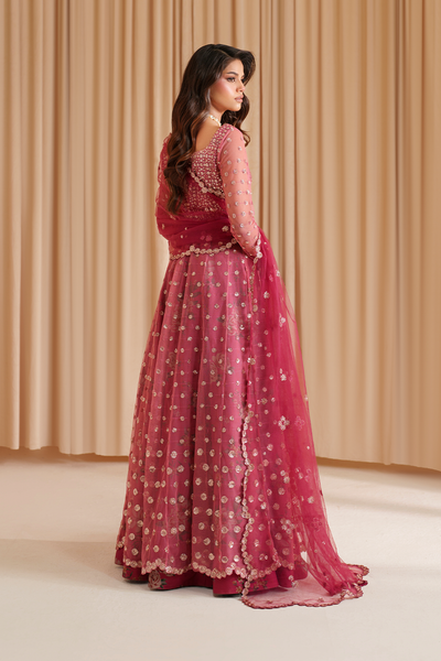 Iznik I Festive Formal I CC-72 Embroidered Net -  Iznik Ladies Clothes - Original Designer Dress - House of Maryam