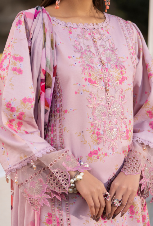 Humdum | Gardenia 26 | Gardenia'26 - D04-3