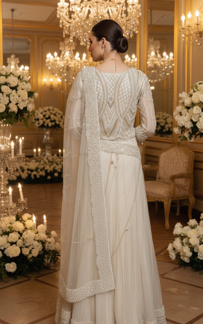 Threads and Motifs | Formal Dresses 25 | Net Embroidered Saree-2
