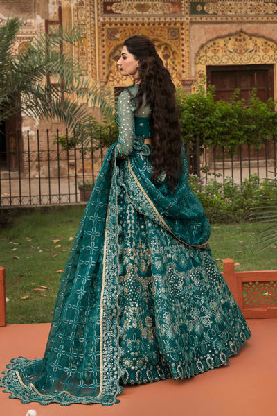 Akbar Aslam Gulnar organza formal maxi, photo 3