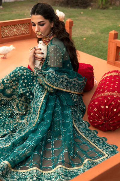 Akbar Aslam Gulnar organza formal maxi, photo 5
