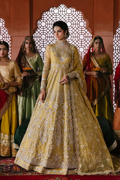 Akbar Aslam Roshanara organza formal maxi and lehenga