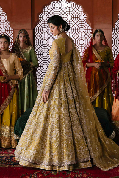 Akbar Aslam Roshanara organza formal maxi and lehenga, photo 3