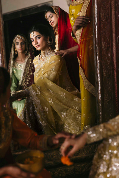 Akbar Aslam Roshanara organza formal maxi and lehenga, photo 4