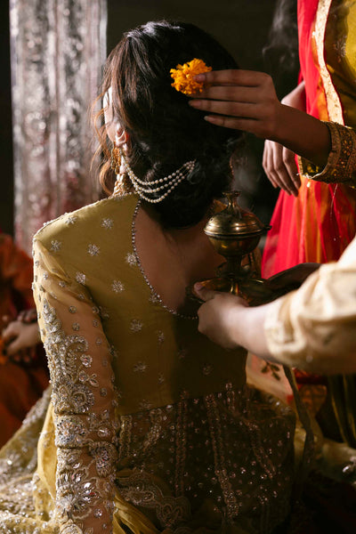 Akbar Aslam Roshanara organza formal maxi and lehenga, photo 6