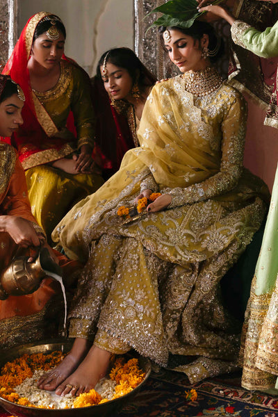 Akbar Aslam Roshanara organza formal maxi and lehenga, photo 8