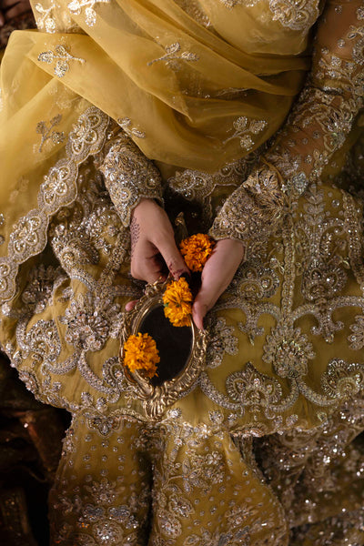 Akbar Aslam Roshanara organza formal maxi and lehenga, photo 9