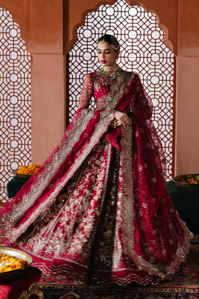 Akbar Aslam Jahanara organza formal maxi, photo 3