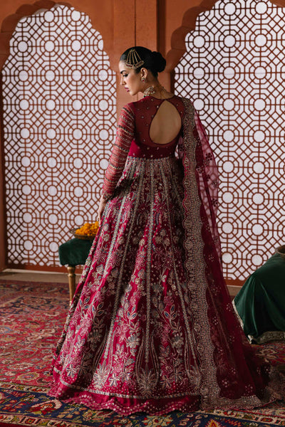 Akbar Aslam Jahanara organza formal maxi, photo 5