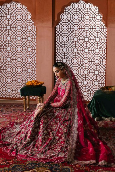 Akbar Aslam Jahanara organza formal maxi, photo 6