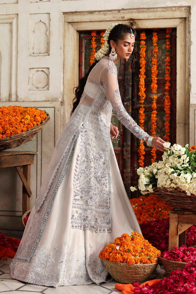 Akbar Aslam | Formals | Safina