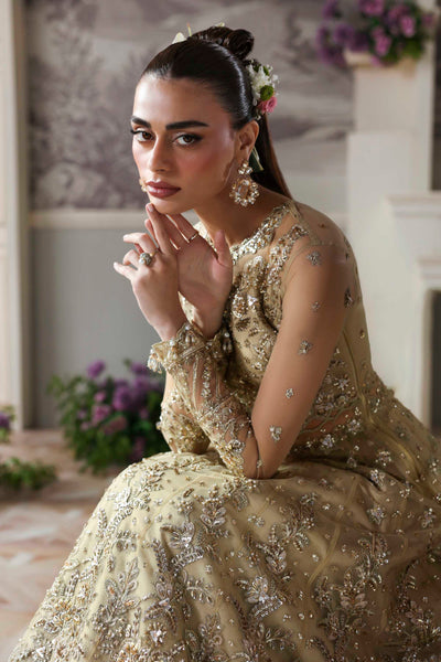 Akbar Aslam Mintara net formal maxi and lehenga, photo 5