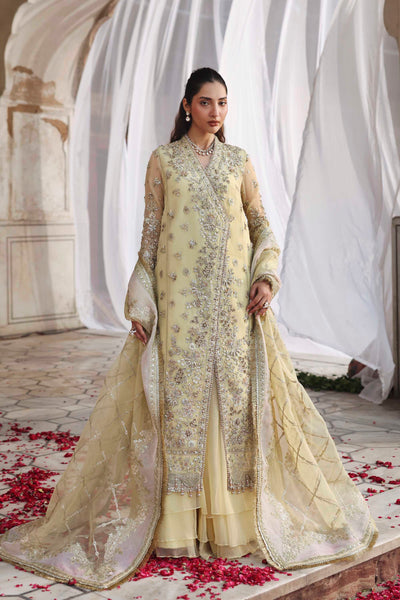 Akbar Aslam Mehro organza formal shirt and sharara, photo 4