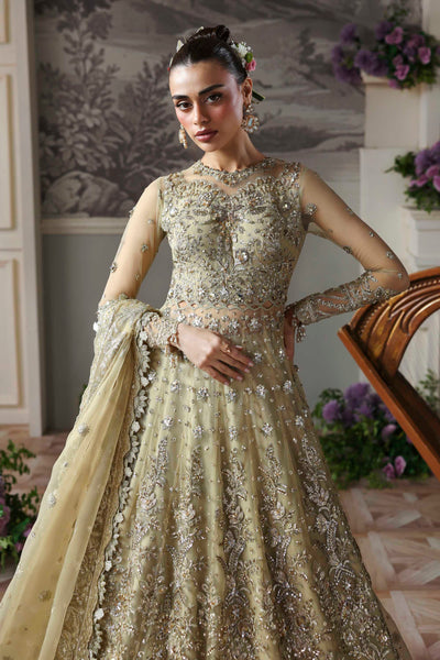Akbar Aslam Mintara net formal maxi and lehenga, photo 2