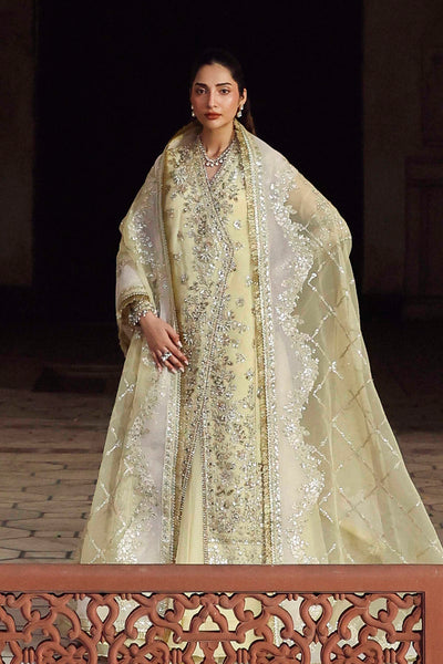 Akbar Aslam Mehro organza formal shirt and sharara, photo 6