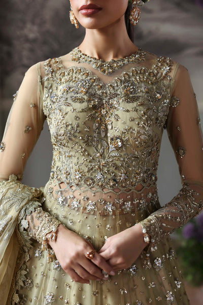 Akbar Aslam Mintara net formal maxi and lehenga, photo 3