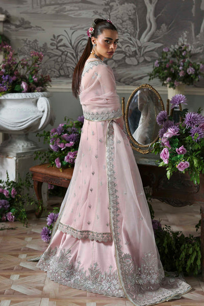 Akbar Aslam Anvaha organza formal shirt and sharara, photo 6