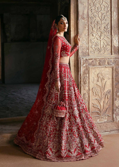 Akbar Aslam Dilafroz net bridal lehenga choli, photo 3
