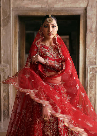 Akbar Aslam Dilafroz net bridal lehenga choli, photo 5