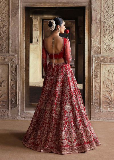 Akbar Aslam Dilafroz net bridal lehenga choli, photo 2