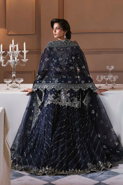 Akbar Aslam Zarpari organza formal shirt and sharara, photo 6