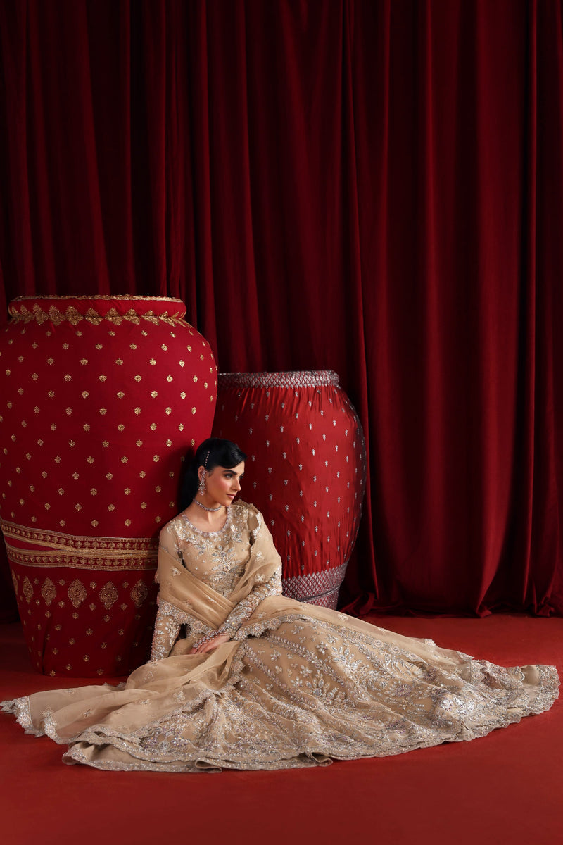 Akbar Aslam | Luxury Formals | Parisa, image 6