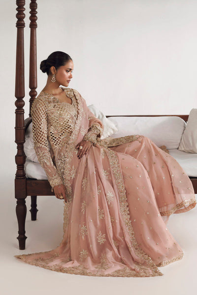 Akbar Aslam | Luxury Formals | Livia