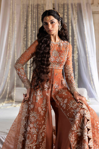 Akbar Aslam Meherun organza formal suit, photo 2