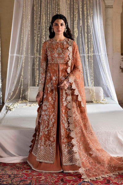 Akbar Aslam Meherun organza formal suit