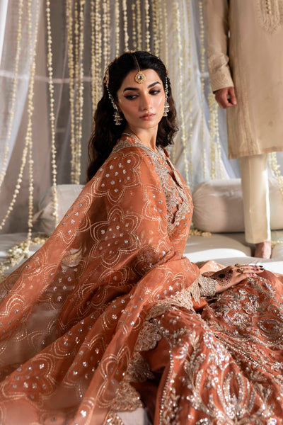 Akbar Aslam Meherun organza formal suit, photo 7
