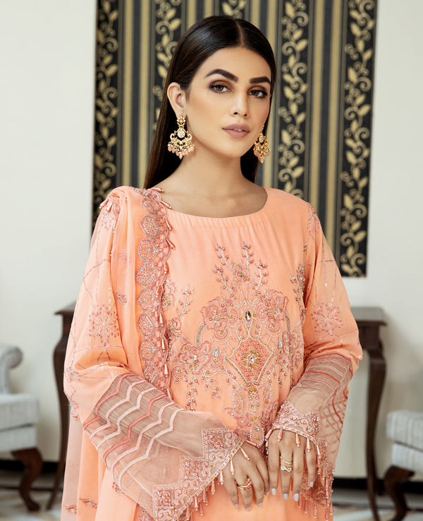 House of Nawab | Lawn Collection 24 | DANEEN by Designer House of Nawab - House of Maryam - Pakistani Designer Ethnic Wear in {{ shop.shopifyCountryName }}