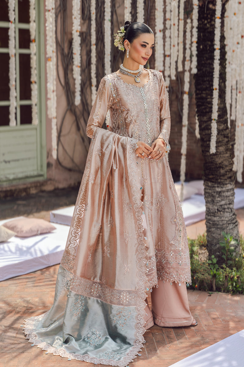 Rangrasiya | Wedding Formals 25 | Nayab-2