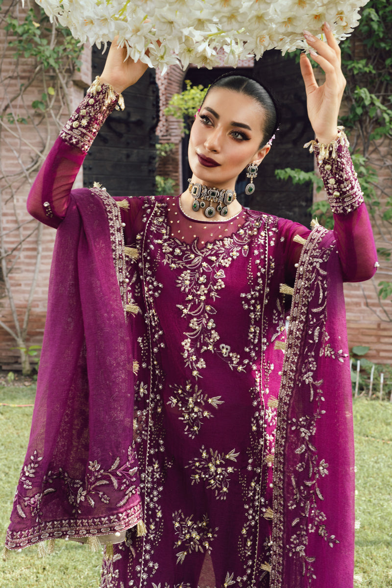 Rangrasiya | Wedding Formals 25 | Nimir-3