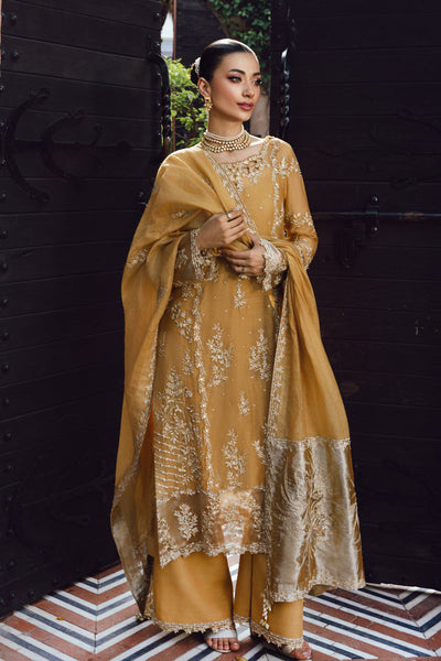 Rangrasiya | Wedding Formals 25 | Misha