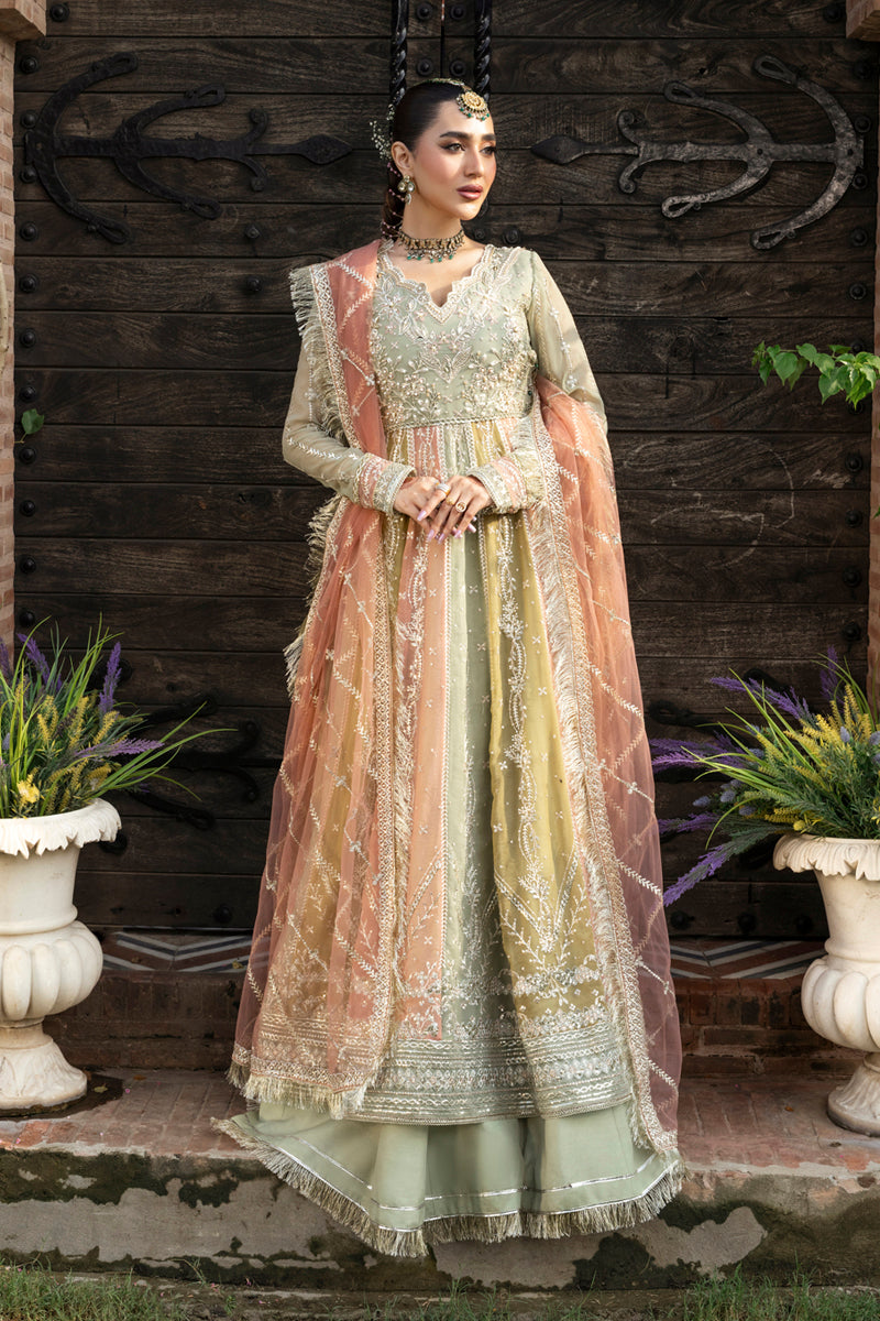 Rangrasiya | Wedding Formals 25 | Amil by Rang Rasiya