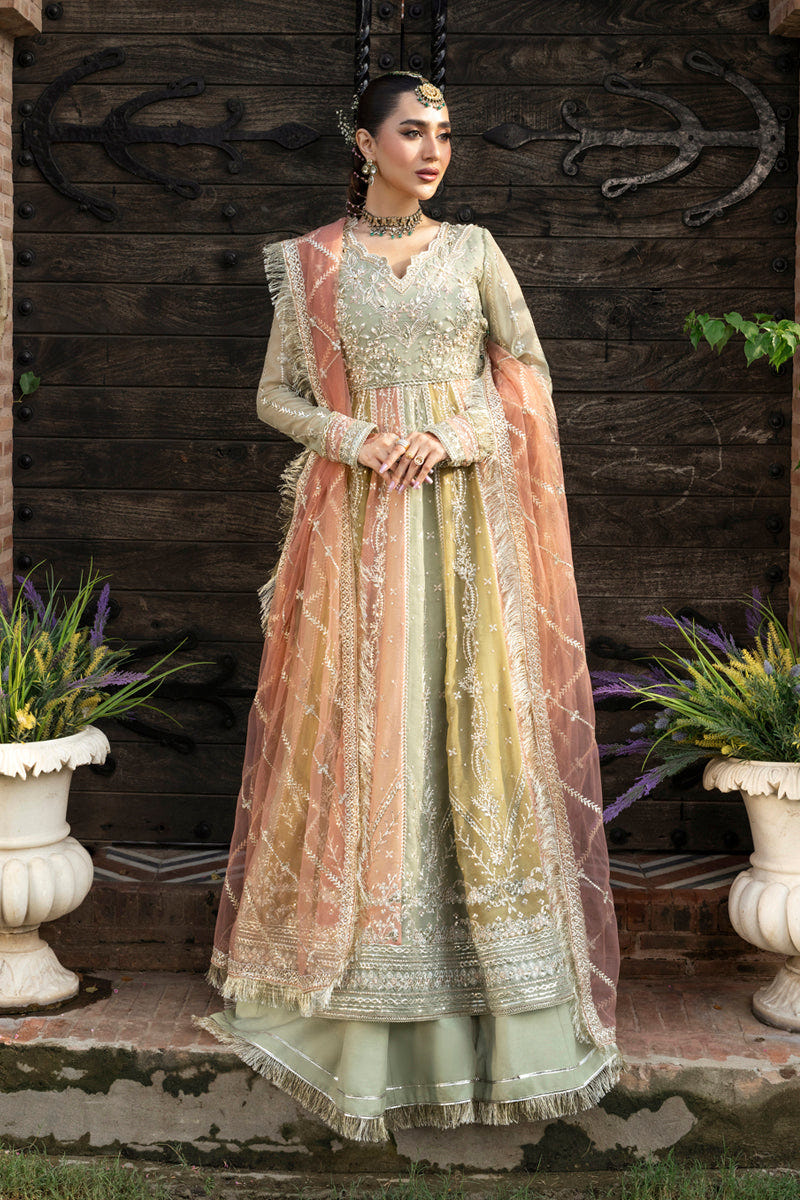 Rangrasiya | Wedding Formals 25 | Amil
