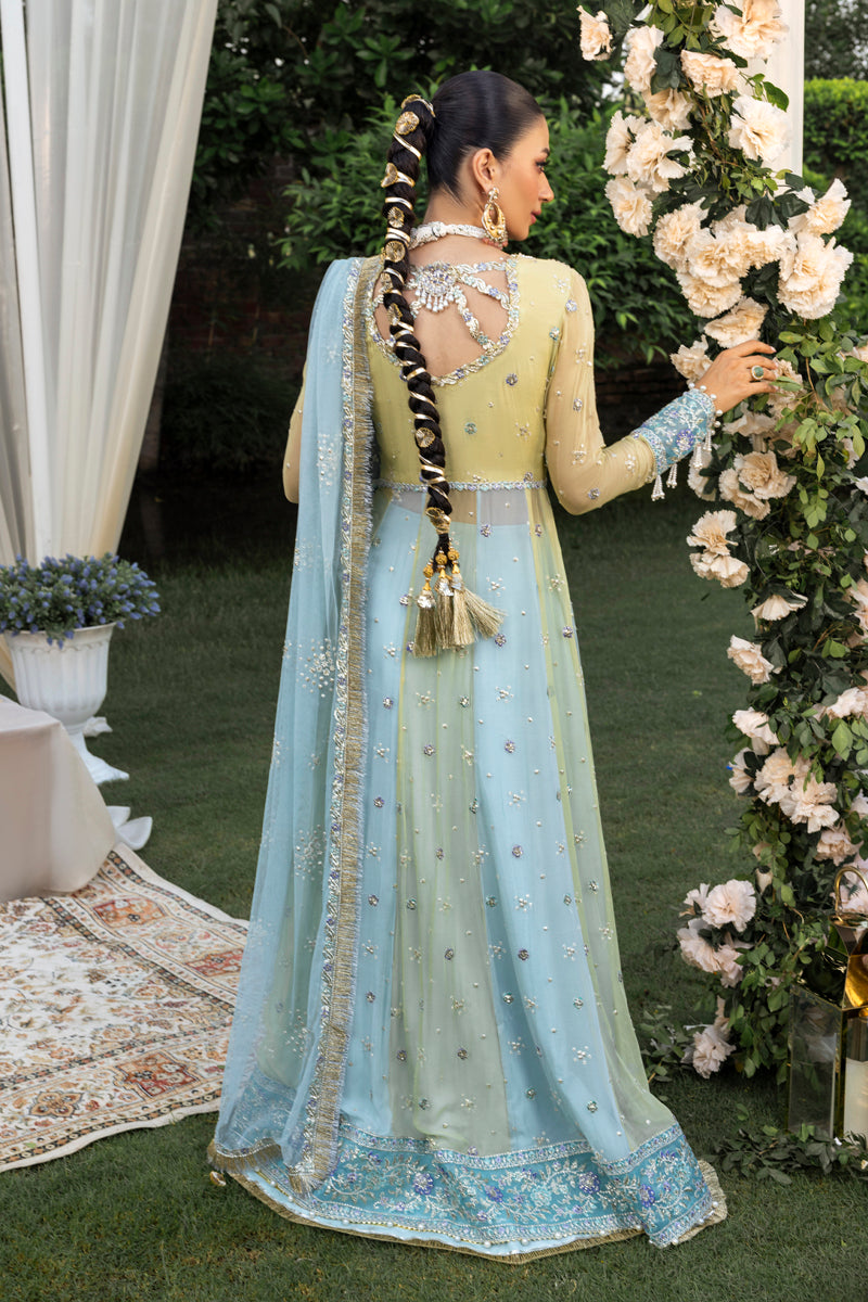 Rangrasiya | Wedding Formals 25 | Samara-2