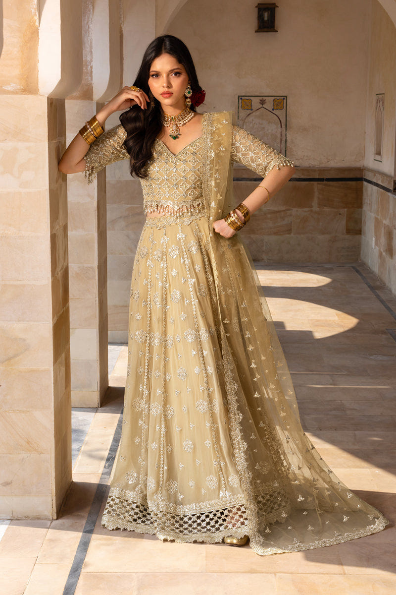 Rangrasiya | Chiffon Formals | Zaiena