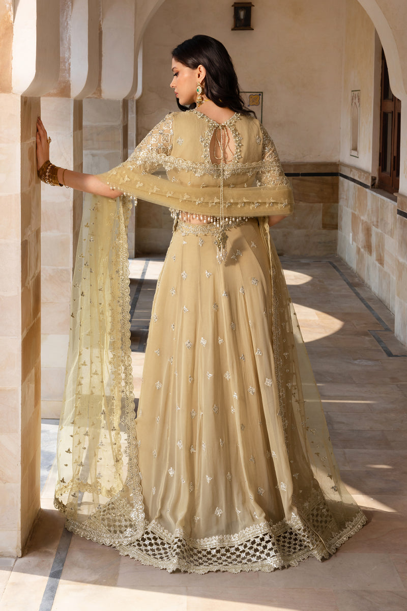 Rangrasiya | Chiffon Formals | Zaiena-2
