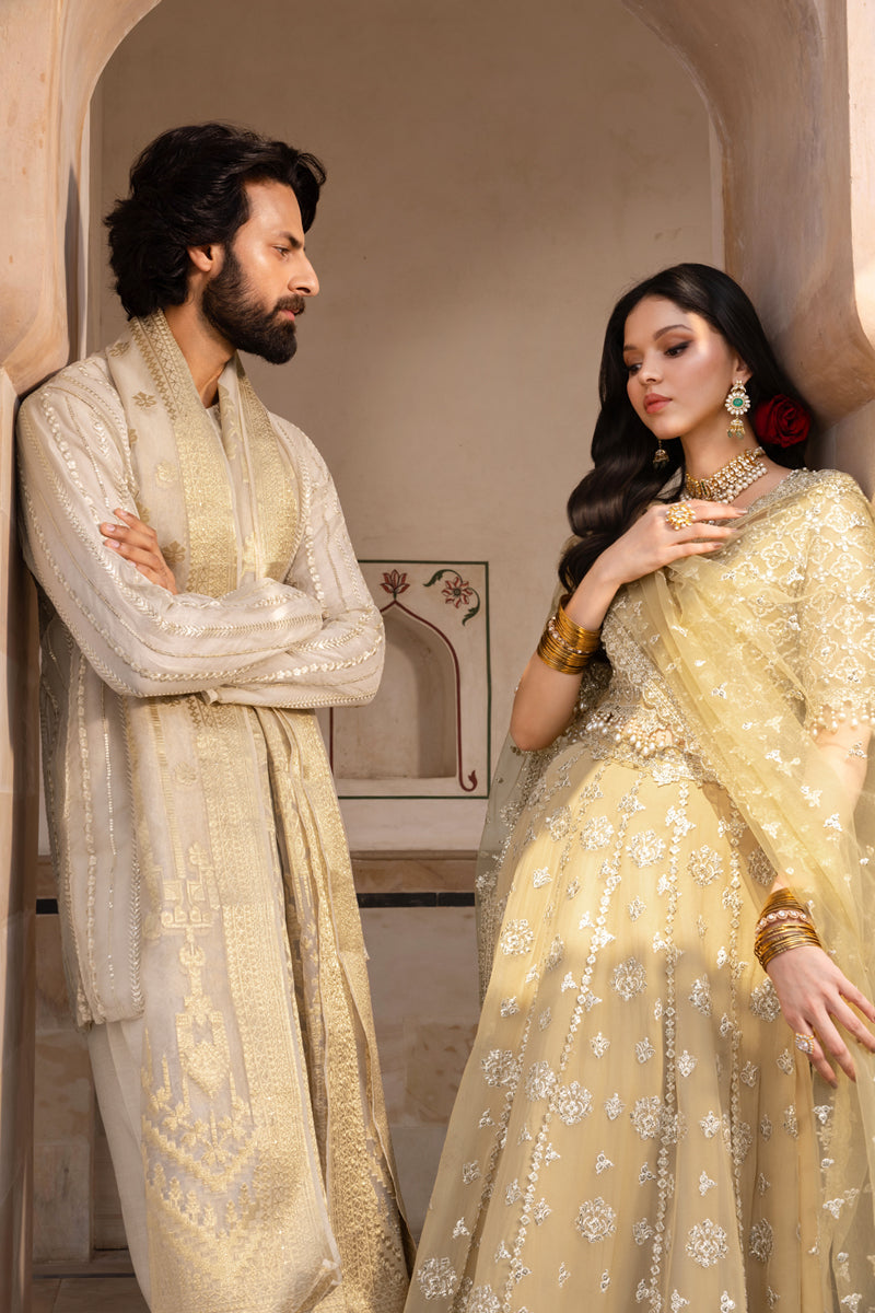 Rangrasiya | Chiffon Formals | Zaiena-4