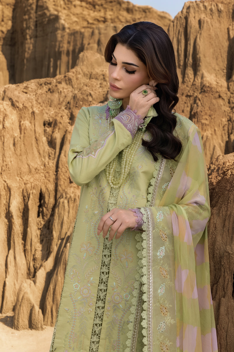 Rangrasiya | Premium Eid Edit 25 | Rania -  Rangrasiya Ladies Clothes - Original Designer Dress - House of Maryam
