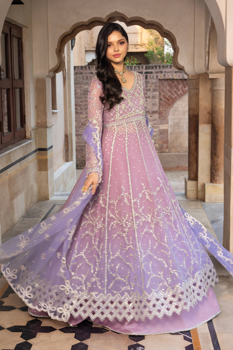 Rangrasiya | Chiffon Formals | Basma-4