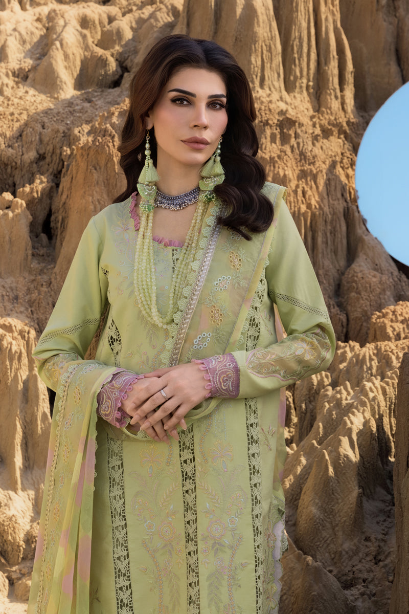 Rangrasiya | Premium Eid Edit 25 | Rania -  Rangrasiya Ladies Clothes - Original Designer Dress - House of Maryam