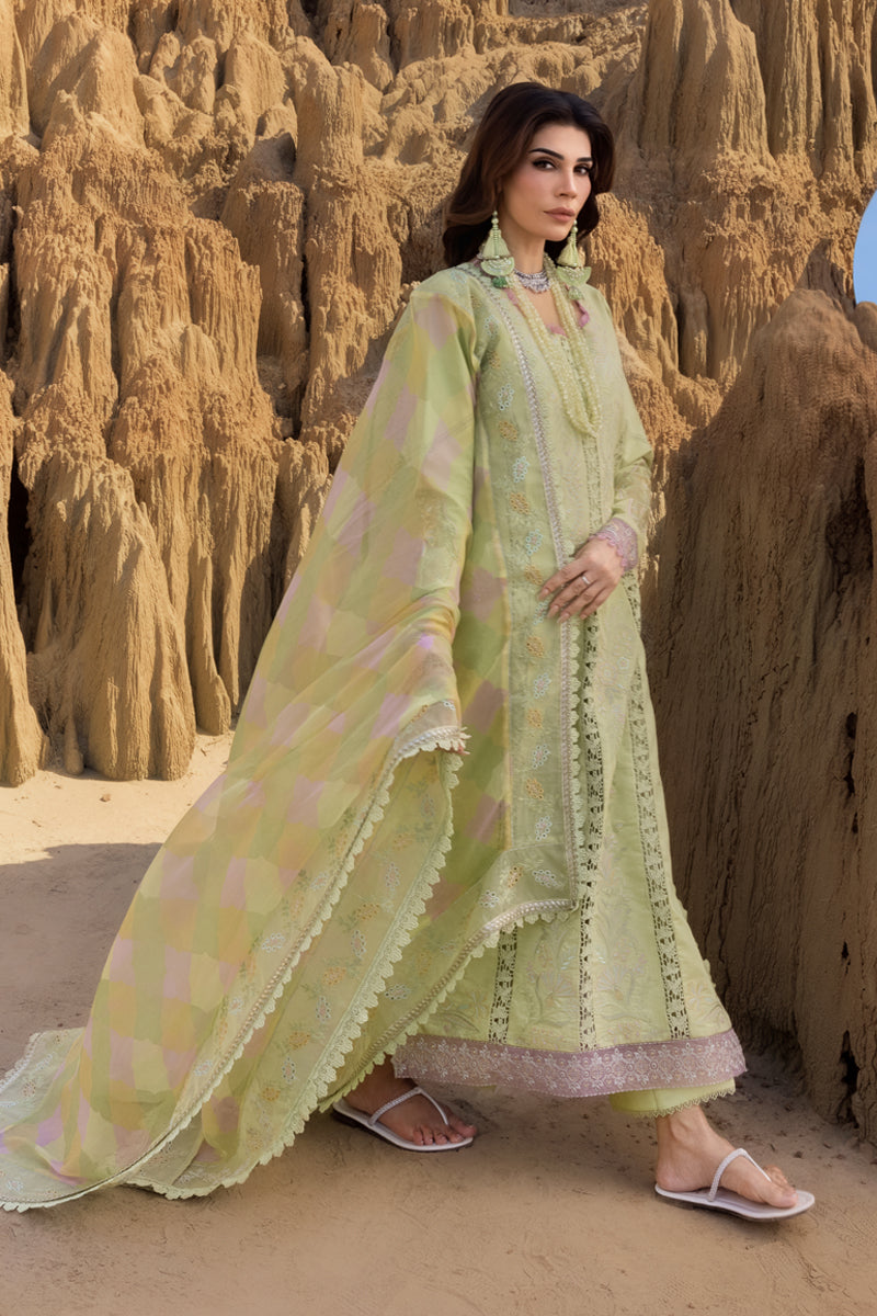 Rangrasiya | Premium Eid Edit 25 | Rania -  Rangrasiya Ladies Clothes - Original Designer Dress - House of Maryam