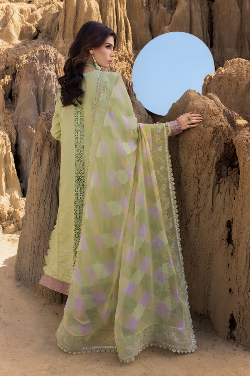 Rangrasiya | Premium Eid Edit 25 | Rania -  Rangrasiya Ladies Clothes - Original Designer Dress - House of Maryam