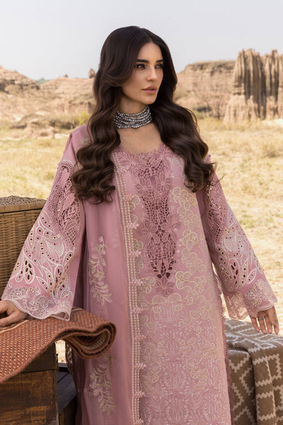 Rangrasiya | Premium Eid Edit 25 | Aysel -  Rangrasiya Ladies Clothes - Original Designer Dress - House of Maryam