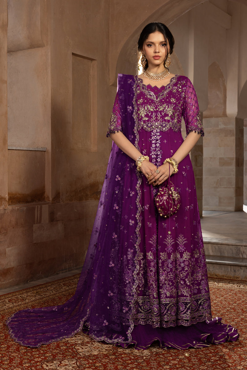 Rangrasiya | Chiffon Formals | Aaliyah by Rang Rasiya