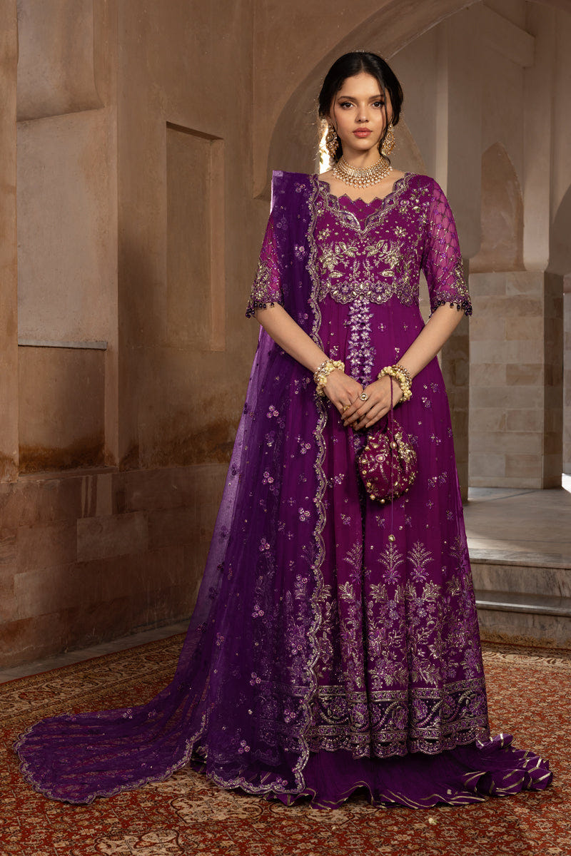 Rangrasiya | Chiffon Formals | Aaliyah